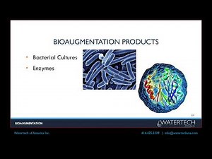 Wastewater: Bioaugmentation