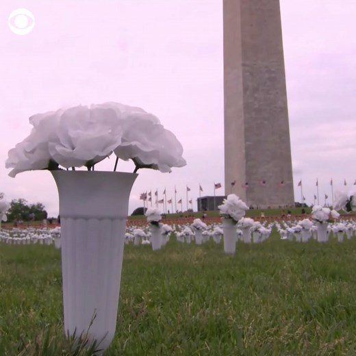 248K views · 2.7K reactions | Rows of more than 45,000 white and red flowers were placed along the National Mall in Washington, D.C., as part of a temporary memorial representing the increasing number of Americans lost to gun violence each year. | CBS News | Facebook