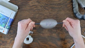 2.5K views · 42 reactions | Let's make a thaumatrope! A thaumatrope is an optical toy that was popular in the 19th century. It is a disk with a picture on each side and two strings. When the strings are twirled quickly, the images appear to blend together. Instructions available at eastman.org/activities. | George Eastman Museum | Facebook