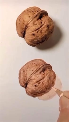 Amit sir on Instagram: "How to draw walnut #nut pencil colour #walnut #fruits #drawing #nutri #nutricion #nutella #meat #art #painting #artgallery #instafood #food #artist"