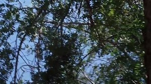 Kung Fu 2x02 L'Assassin VF