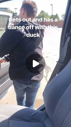 Whistle on Instagram: "The way the duck picked up his belly 😂 📹(@seanconners369/TT) . . . . . #danceoff #dancebattle #dancebattles #duck #duckhunting #ducksofinstagram #duckmascot #mascot #danceoffs #dancechallenge #dancer"