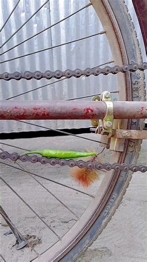 Amazing Chili Cutting Machine #shorts"? #funny #foryou #shorts