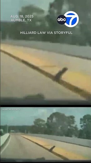 Cybertruck slams into barrier while on autopilot