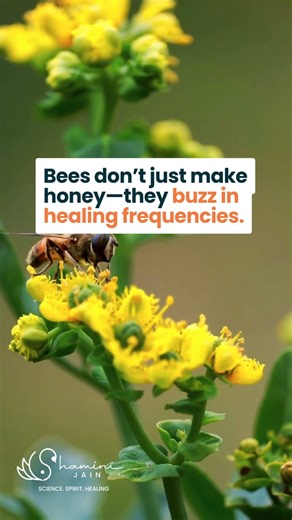 Bees are quite amazing! Did you know the gentle buzz of bees may be more than a background hum? Bees vibrate around 190–250 Hz, and listening to their hum has been associated with calming the nervous system, enhancing focus, and even regenerating tissues through vibrational stimulation. Some sound healers use bee frequencies to stimulate brainwave coherence and cellular rejuvenation. From ancient temples to modern hives, bees offer more than honey—they remind us that healing can be a frequency w