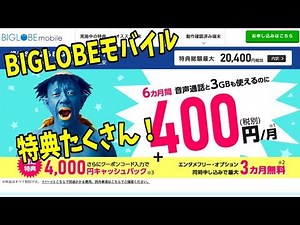 【格安SIM】特典たくさん！BIGLOBEモバイル