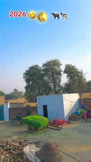 Creator Search Insights on TikTok: Tips and Tricks