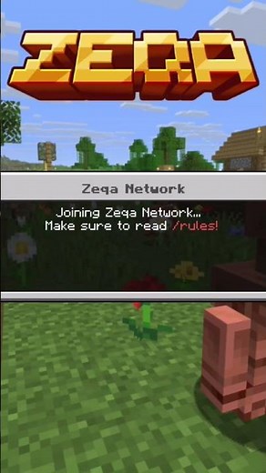 Minecraft Switch版で Zeqaに行く方法