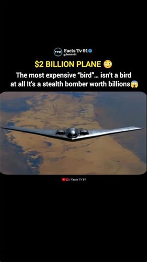 The Most Expensive “Bird” Ever Built