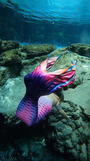 10K reactions · 412 shares | Flipping out over this new Orchids Crest...