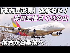 [First time at Narita Airport] I'll show you the easiest way to get to Sakura-no-Yama at Narita A...