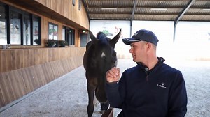 1.1K reactions · 40 shares | Lazy horses. For these types of horses,...