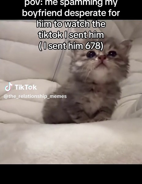 Spamming My Boyfriend with TikToks | Relationship Memes