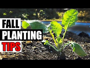 4 Tips For Successful Fall Planting - Garden Quickie Episode 263