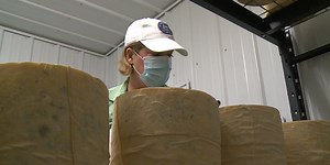 Cow to curd: Osseo farm starts making cheese