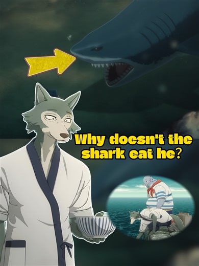 Why Doesn't the Shark Eat Legoshi in BEASTARS?