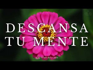 Descansa tu Mente ❤️ Música Relajante para Aliviar el Estrés y Aliviar la Ansiedad 🌸 Calma Profunda