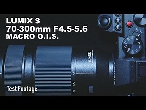 LUMIX S 70-300mm F4.5-5.6 MACRO O.I.S. TEST Footage