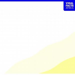 39K views · 6.5K reactions |  Contrary to misleading claims online, #COVID19 vaccines are safe and effective. ✅ #Vaccines save lives. #ViralFactsAfrica Viral Facts Africa | World Health Organization African Region | Facebook