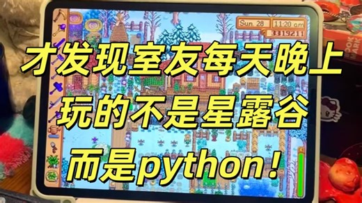 才发现室友每天晚上玩的不是星露谷 而是python