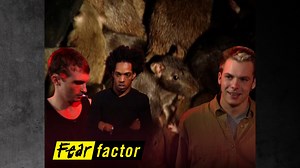 Whoever withstands 4 minutes with 400 rats in The Rat Pit will move on for a chance at the $50K! | From Season 1 Episode 5 | Fear Factor