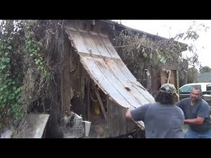 JP & Schawee Remove Massive Beehives!!