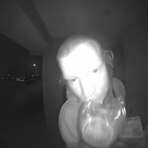 1K views | This man showed up at the door with his arms full of groceries and a bag of burger buns hanging from his mouth. He tried to knock using his head, made faces at the camera, and dropped something before calling his friend to come to the door. Then he realized he was at the wrong house and quickly ran back to his car, laughing to himself. | Jukin Copyright Management | Facebook