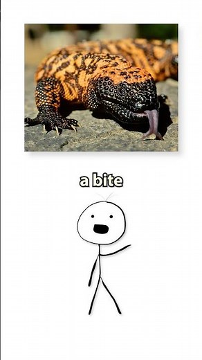 The Most Painful Lizard Bite 🦎 💀 #animation #venom #deadlyanimals