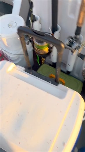 14K views · 138 reactions | Where is everyone?? This is the fishing everyone askes about. Wednesday 6:30am and Thursday 5:30 AM departure still has space | Queen Mary Party Fishing Boat and Charters | Facebook