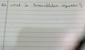 Q1 What in Intracellular digestion?... | Filo