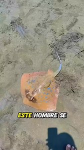 El héroe que salvó la vida de las crías de mantarraya ❤️#Viral #Trending #Curiosidades #SabiasQue #LeccionesDeVida | Historia Inspiradora