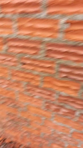 Building a Brick Wall: Step-by-Step Construction Guide