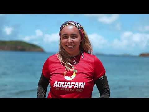 Culebra Island Aquafari