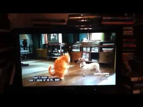 Garfield The Movie - Dancing To Hey Mama Scene