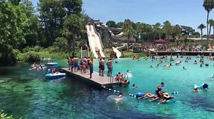 1.4M views · 475 reactions | Everyone having a great time at Weeki Wachee Springs State Park. For more info, visit WeekiWachee.com. #LoveWeeki #LoveFL | Weeki Wachee Springs State Park | Facebook