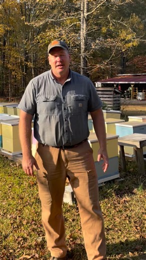 12 reactions | Treating for mites-1st of 2 treatments #bee #honey | Secret Garden Bees | Facebook