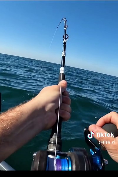 Nothing like throwing one of the biggest fluke I’ve caught overboard… #fishing #fluke #flounder #jubilee #fail #fishingtiktoks #fishtok#creatorsearchinsights
