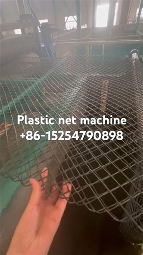 Poultry Breeding Net Plastic fence nets breeding fences #plasticnet #machine #mesh #dingyuan extrude