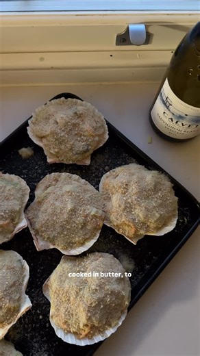 Manon Lagrève on Instagram: "ad 🐚 full RECIPE🐚 This is my French family’s favourite starter - Saint Jacques à la Bretonne, my way, paired with a crisp glass of @calvet_wines Cuvée du Cap Sauvignon Blanc. My husband says it is probably the best thing I have ever served it. The plus, you can make it the day before and simply re heat it for your NYE dinner party! Serves 8 300g fresh (or frozen) scallops 2 carrots, julienned 2 leeks, thinly diced Salt & pepper 1 tbsp salted butter For the béchame