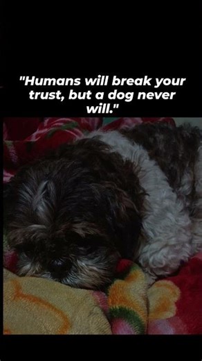 #love#bionexianotes ❤️