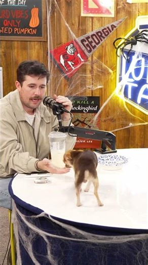 The Lunch Table Classic please