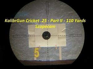 KalibrGun Cricket .25 Air Rifle - Part II - 110 Yards (100m) Scopecam