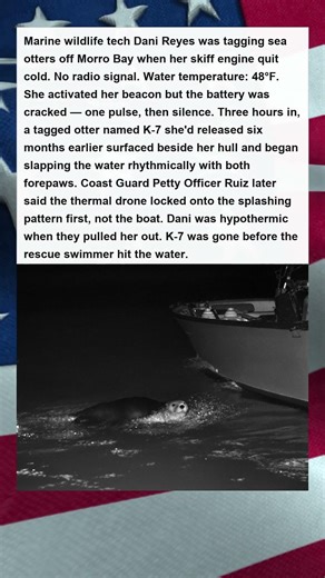 Injured Otter Flags Down Coast Guard