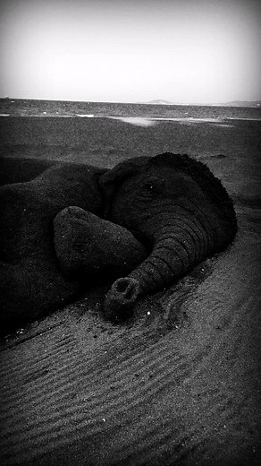 Remy & Paul sand sculptures on TikTok