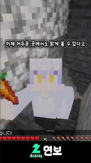 마인크래프트 야간투시 나이트비전 쓰기