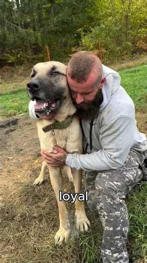 The Most DANGEROUS Dog in the World 🐕