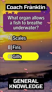 16K views · 399 reactions | GENERAL KNOWLEDGE (GK QUIZ) | Franklin - Online LET, CSE, IELTS & Celpip Private Tutorial | Facebook