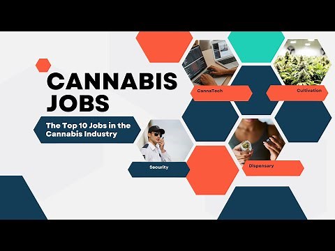 The Top 10 Jobs in the Cannabis Industry