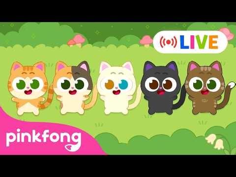 🔴 LIVE! 24 HOURS of Ninimo Episodes | 100 Ninimos | Kids Songs | ‪@Pinkfong‬