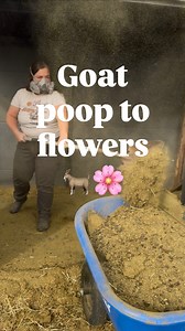 11 reactions | Drop all your part sun part shade flowers and shrubs (ideally perennials) that will thrive in zone 6b/7a west facing side  pls I’m begging lol  | The Intentional Homemaker | Facebook